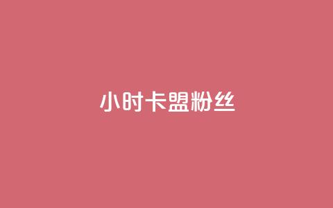 24小时卡盟粉丝 - 提升24小时卡盟粉丝数量的最佳策略!  第1张