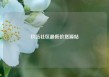 玖伍社区最低价货源站