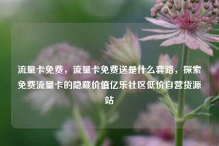 流量卡免费，流量卡免费送是什么套路，探索免费流量卡的隐藏价值亿乐社区低价自营货源站