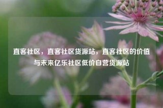 直客社区，直客社区货源站，直客社区的价值与未来亿乐社区低价自营货源站
