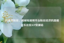 抖音买粉丝，揭秘短视频平台粉丝经济的真相亿乐社区SUP货源站