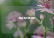 直客通招聘信息