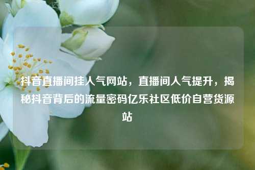 抖音直播间挂人气网站，直播间人气提升，揭秘抖音背后的流量密码亿乐社区低价自营货源站  第1张