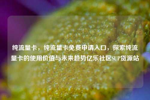 纯流量卡	，纯流量卡免费申请入口，探索纯流量卡的使用价值与未来趋势亿乐社区SUP货源站  第1张