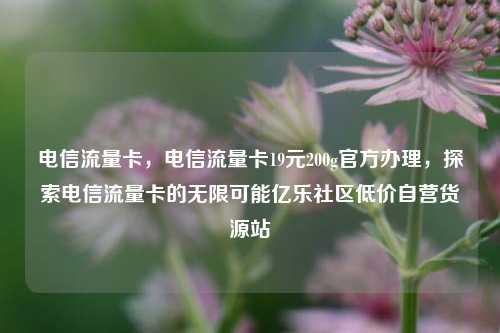 电信流量卡，电信流量卡19元200g官方办理	，探索电信流量卡的无限可能亿乐社区低价自营货源站  第1张