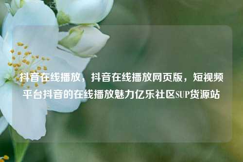 抖音在线播放，抖音在线播放网页版，短视频平台抖音的在线播放魅力亿乐社区SUP货源站  第1张