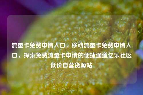 流量卡免费申请入口，移动流量卡免费申请入口	，探索免费流量卡申请的便捷通道亿乐社区低价自营货源站  第1张