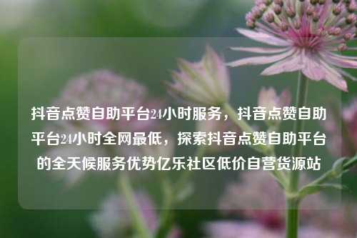 抖音点赞自助平台24小时服务，抖音点赞自助平台24小时全网最低，探索抖音点赞自助平台的全天候服务优势亿乐社区低价自营货源站  第1张