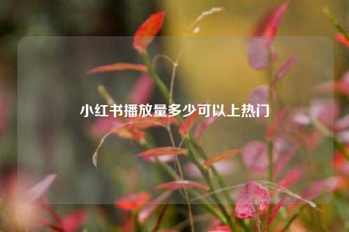 小红书播放量多少可以上热门  第1张