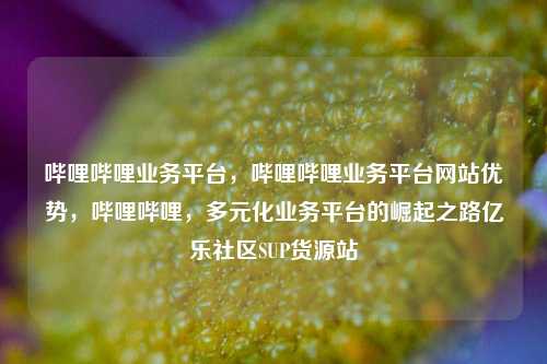 哔哩哔哩业务平台，哔哩哔哩业务平台网站优势	，哔哩哔哩，多元化业务平台的崛起之路亿乐社区SUP货源站  第1张