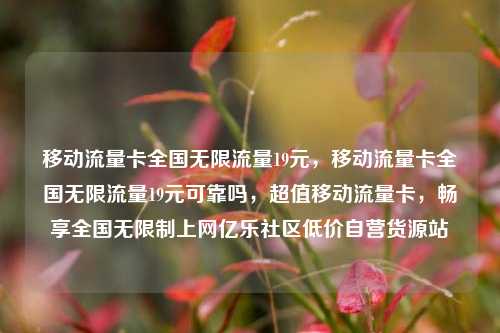 移动流量卡全国无限流量19元，移动流量卡全国无限流量19元可靠吗，超值移动流量卡	，畅享全国无限制上网亿乐社区低价自营货源站  第1张