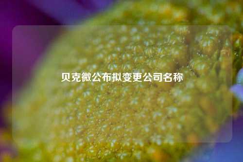 贝克微公布拟变更公司名称  第1张
