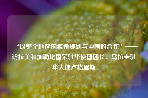 “以整个地区的视角规划与中国的合作”——访拉美和加勒比国家驻华使团团长	、乌拉圭驻华大使卢格里斯  第1张