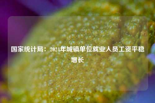 国家统计局：2024年城镇单位就业人员工资平稳增长  第1张
