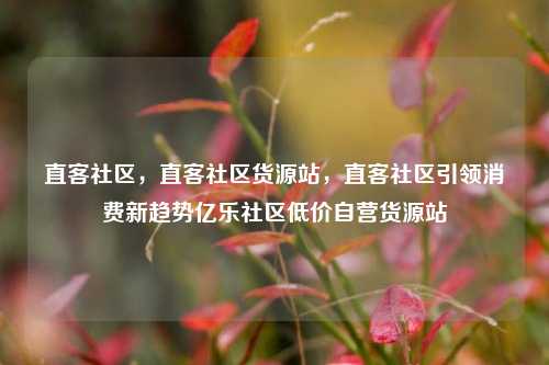 直客社区	，直客社区货源站，直客社区引领消费新趋势亿乐社区低价自营货源站  第1张