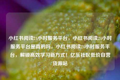 小红书阅读24小时服务平台	，小红书阅读24小时服务平台是真的吗，小红书阅读24小时服务平台，解锁高效学习新方式！亿乐社区低价自营货源站  第1张