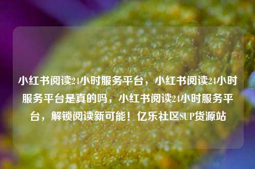 小红书阅读24小时服务平台，小红书阅读24小时服务平台是真的吗，小红书阅读24小时服务平台，解锁阅读新可能！亿乐社区SUP货源站  第1张