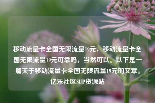移动流量卡全国无限流量19元，移动流量卡全国无限流量19元可靠吗	，当然可以	。以下是一篇关于移动流量卡全国无限流量19元的文章。亿乐社区SUP货源站  第1张