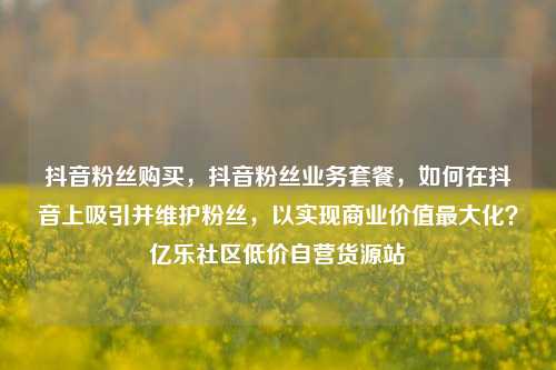 抖音粉丝购买，抖音粉丝业务套餐，如何在抖音上吸引并维护粉丝，以实现商业价值最大化？亿乐社区低价自营货源站  第1张