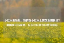 小红书刷粉丝，如何在小红书上高效地刷粉丝？揭秘技巧与策略！亿乐社区低价自营货源站
