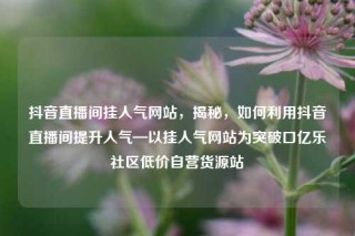 抖音直播间挂人气网站，揭秘，如何利用抖音直播间提升人气—以挂人气网站为突破口亿乐社区低价自营货源站