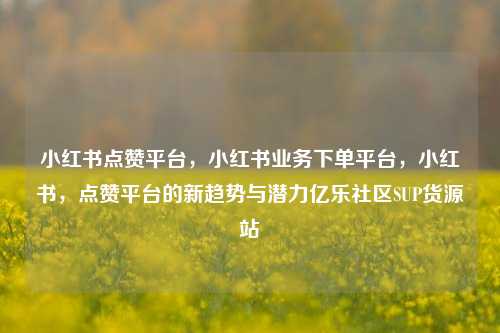 小红书点赞平台，小红书业务下单平台	，小红书，点赞平台的新趋势与潜力亿乐社区SUP货源站  第1张
