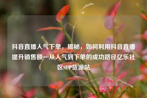 抖音直播人气下单，揭秘	，如何利用抖音直播提升销售额—从人气到下单的成功路径亿乐社区SUP货源站  第1张