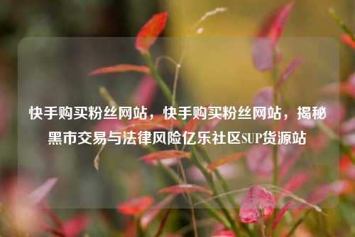 快手购买粉丝网站，快手购买粉丝网站，揭秘黑市交易与法律风险亿乐社区SUP货源站  第1张