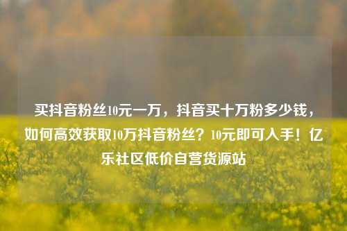 买抖音粉丝10元一万	，抖音买十万粉多少钱，如何高效获取10万抖音粉丝？10元即可入手！亿乐社区低价自营货源站  第1张