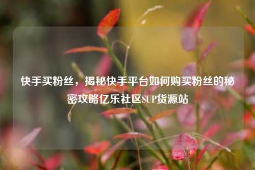 快手买粉丝	，揭秘快手平台如何购买粉丝的秘密攻略亿乐社区SUP货源站  第1张