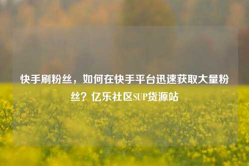 快手刷粉丝，如何在快手平台迅速获取大量粉丝？亿乐社区SUP货源站  第1张